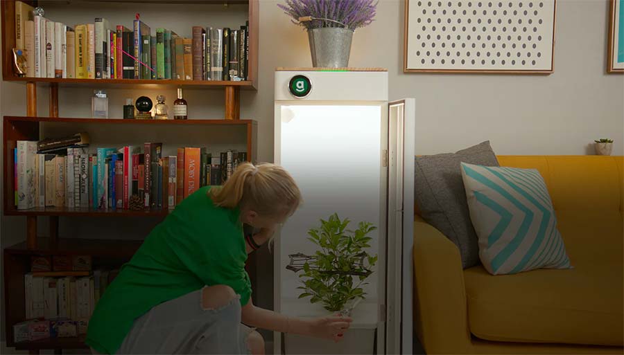 Hello Abby, introducing Automated Grow Box Kits: Your Ultimate Indoor Hydroponics Growing System.