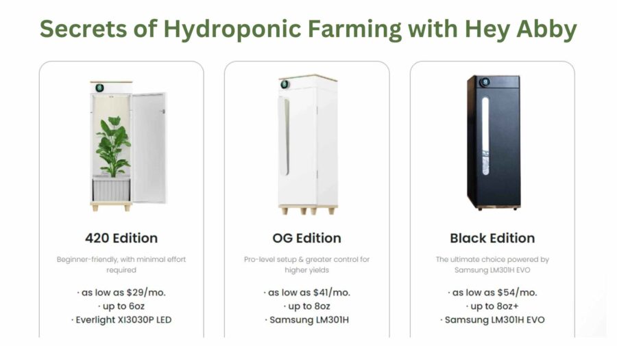 Secrets Of Hydroponic Farming with Hey Abby