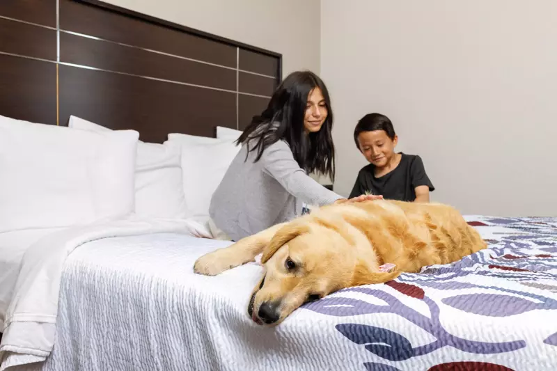 Traveling with Family and Pets: Family and Pet-Friendly Amenities