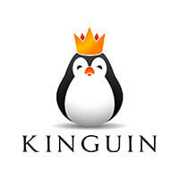 Use your Kinguin coupons code or promo code at kinguin.net